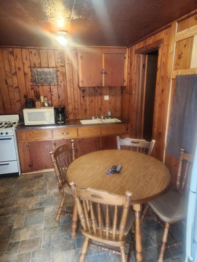 Cabin 2 Manistique Zewnętrze zdjęcie