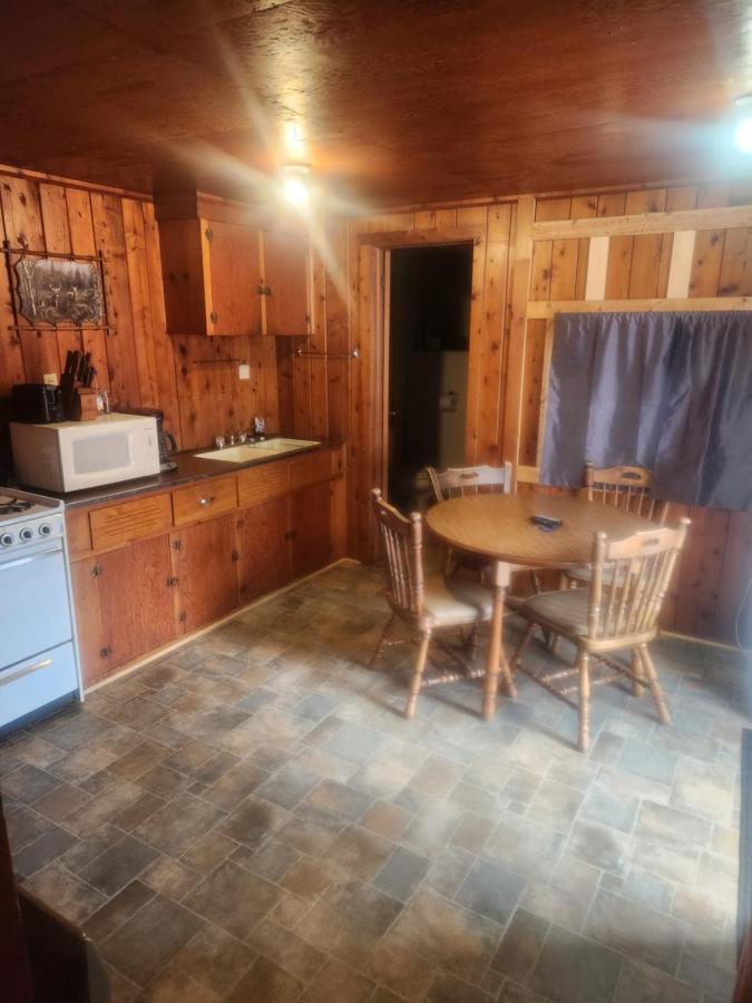 Cabin 2 Manistique Zewnętrze zdjęcie